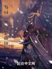 (海贼)光之旅