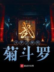 斗罗之新任教皇