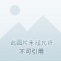 斗罗尘心之孙开局退婚宁荣荣阅读