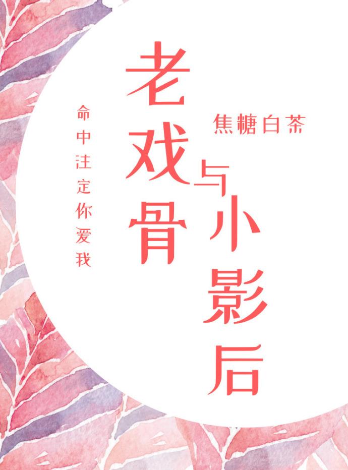 老司机