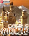 大秦帝国之崛起