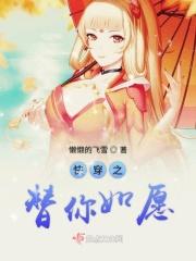 快穿之替你如愿好看吗