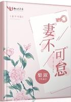 妻不可负